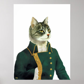 affiche du chat tabby