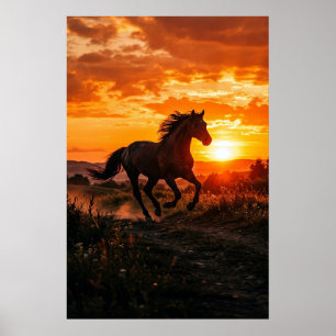 Affiche du Cheval au Coucher de Soleil   Cheval No