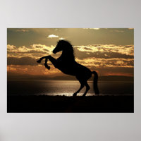 affiche du coucher de soleil