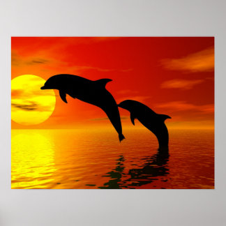 Affiche du coucher du soleil pour les dauphins