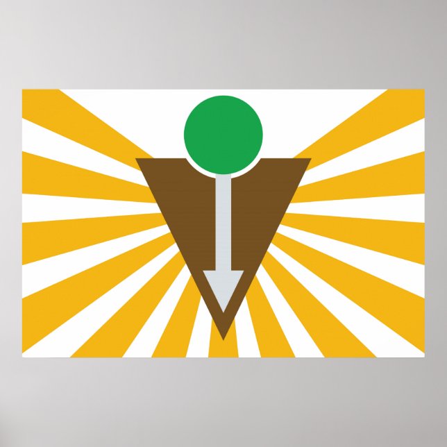 Affiche du drapeau chiropratique (Devant)