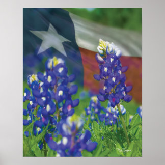 Affiche du drapeau du Texas