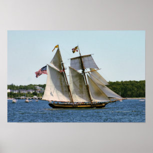 Affiche du grand voilier Pride of Baltimore II