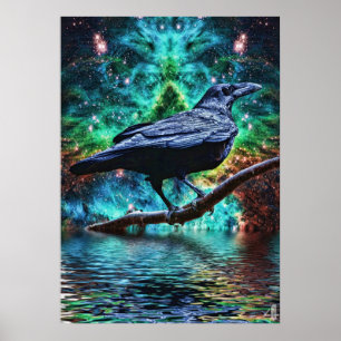 Affiche du imaginaire Raven