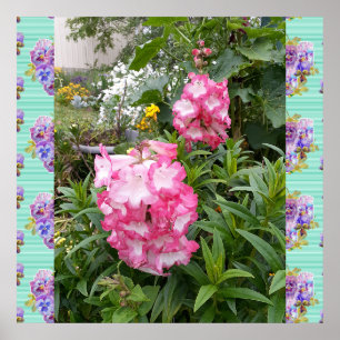 Affiche du jardin de photos florales de fleurs ros