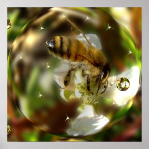 Affiche du monde d'une abeille