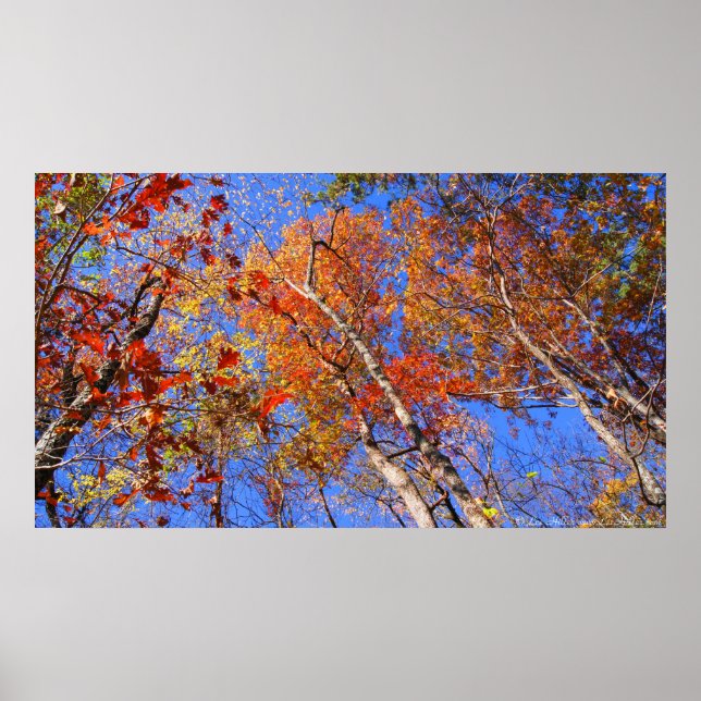 Affiche du parc national West Mt. Autumn Hot Sprin (Devant)
