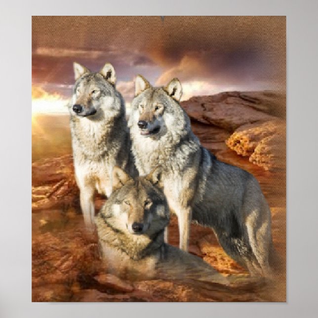 Affiche du trio Wolf (Devant)