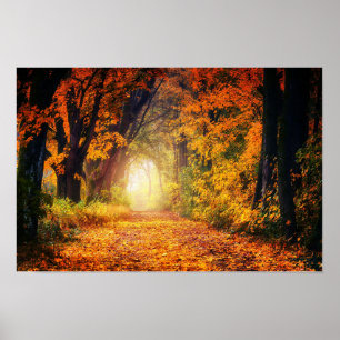 Affiche du tunnel d'automne