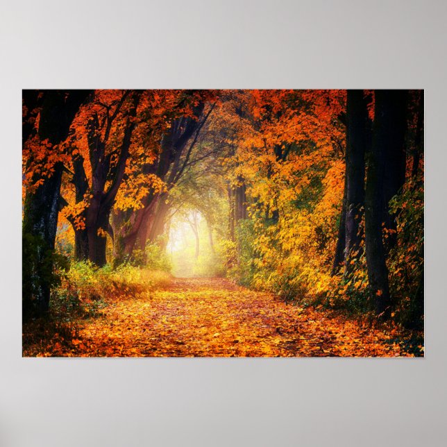 Affiche du tunnel d'automne (Devant)