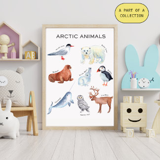 Affiche éducative sur les animaux arctiques