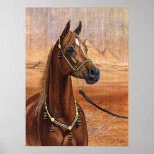 Affiche égyptienne de cheval de princesse Arabian