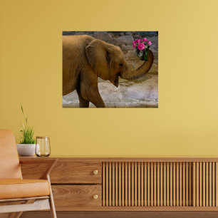 Affiche Elephant avec Rose