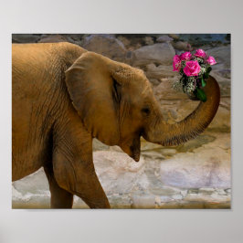 Affiche Elephant avec Rose