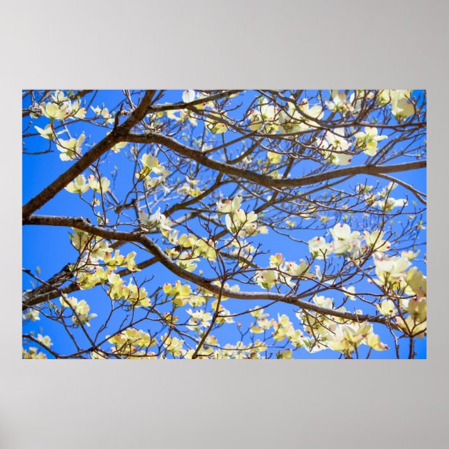 affiche en bois (Devant)