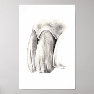 Affiche esthétique pour la dentisterie