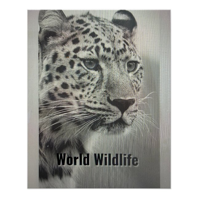 AFFICHE FAUNE MONDIALE (Devant)