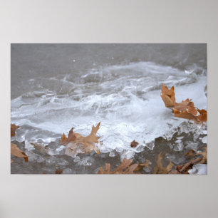 Affiche Feuilles Coincées dans la Glace