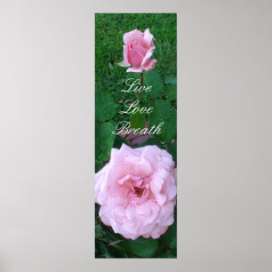 Affiche Fleurs Roses Roses Roses dans la Pluie