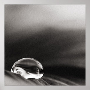 Affiche foncée de pluie