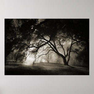 Affiche FORESTIÈRE DE GRIMM