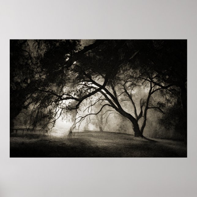 Affiche FORESTIÈRE DE GRIMM (Devant)