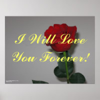 Affiche "Forever Love"