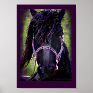 Affiche frisonne de cheval