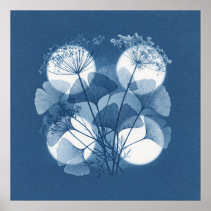 Affiche Ginkgo Bleu Queen Anne Lace Clair de Lune