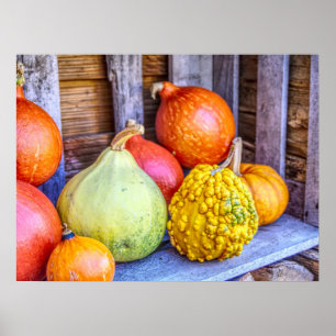 Affiche Gourds d'automne