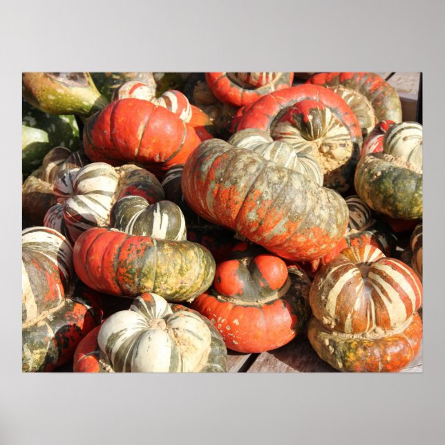 Affiche Gourds d'automne (Devant)