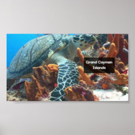 Affiche Grand Cayman