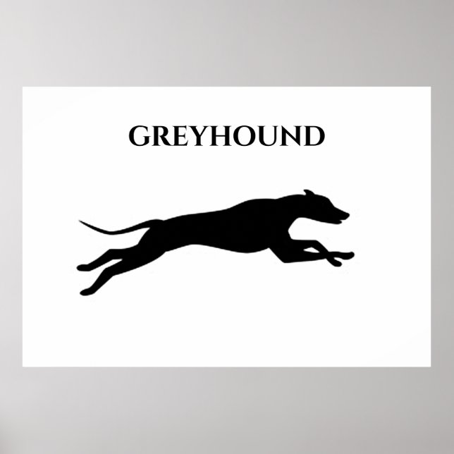 Affiche Greyhound. (Devant)