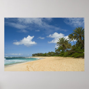 Affiche hawaïenne de plage de 8,99