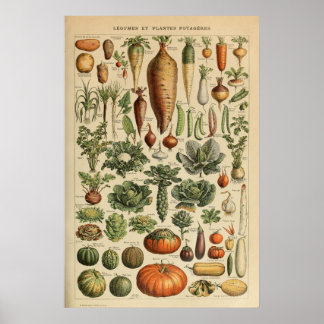 Affiche illustrant les légumes Adolphe Millot