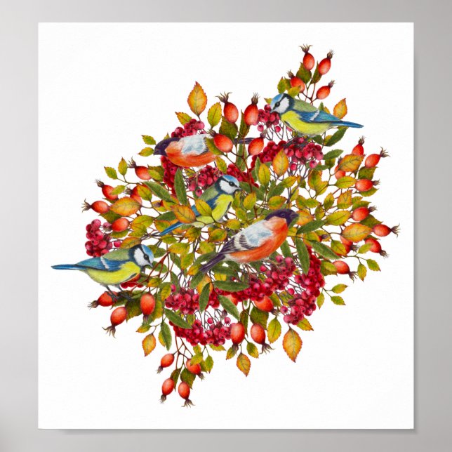 Affiche illustrant les Plantes botaniques et les o (Devant)