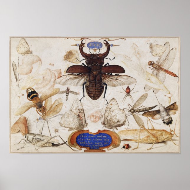 Affiche illustrant l'insecte vintage (Devant)