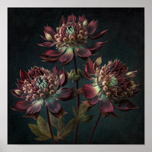 Affiche Impression Artistique Fleurs d'Astrance de