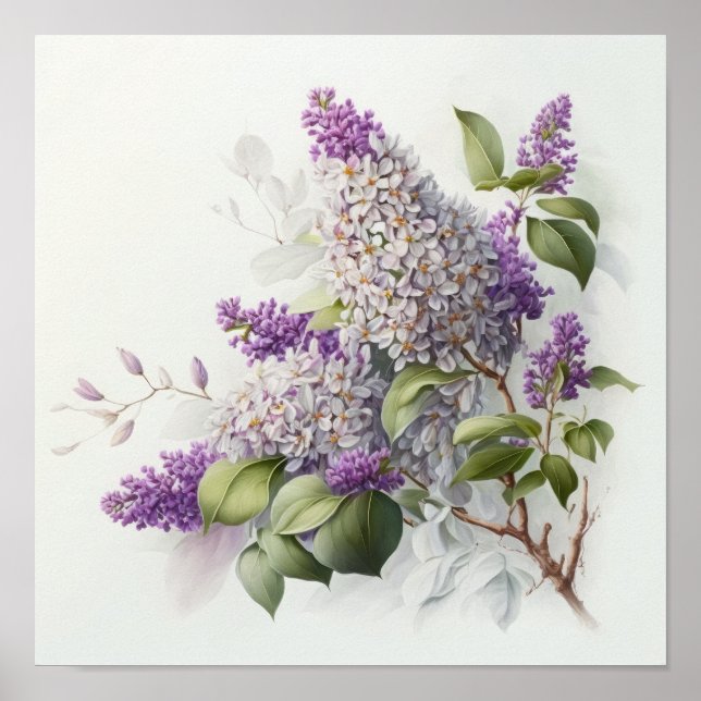 Affiche Impression Artistique Fleurs de Lilas (Devant)