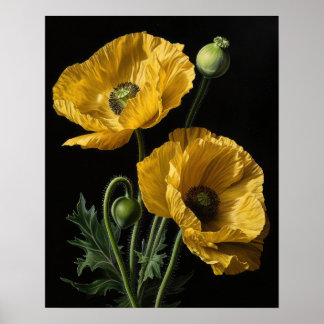 Affiche Impression Artistique Fleurs de Pavot de C