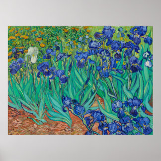 Affiche Iris de Van Gogh