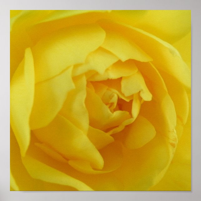 Affiche jaune (Devant)