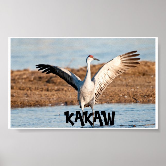 Affiche KAKAW (Devant)
