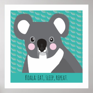 Affiche Koala