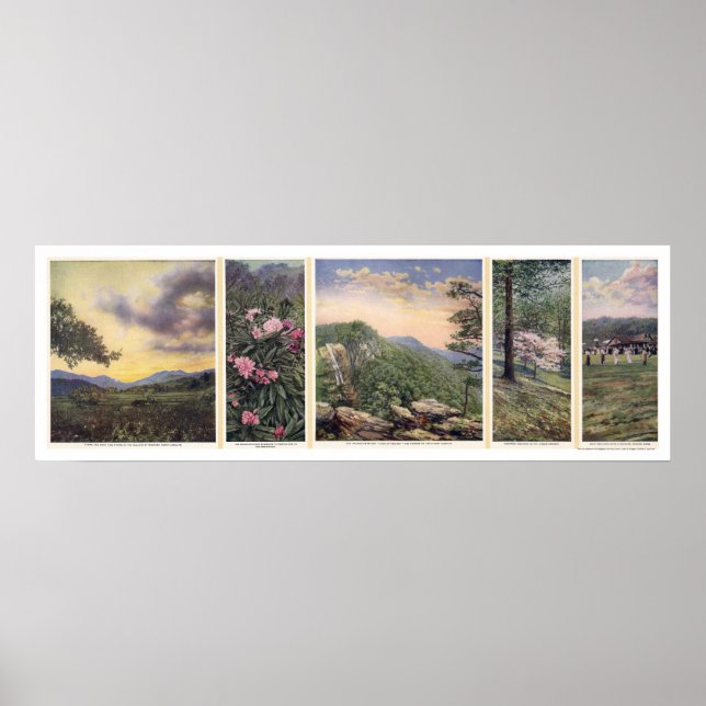 Affiche Land Of The Sky 1917 (Devant)