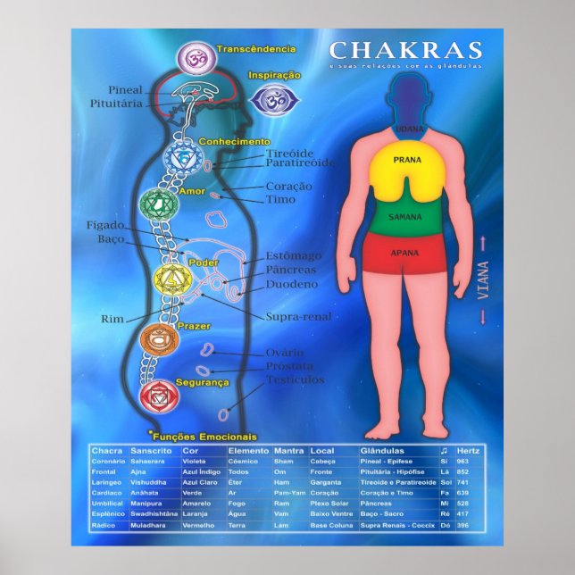 Affiche le Chakras et leurs liaisons (Devant)