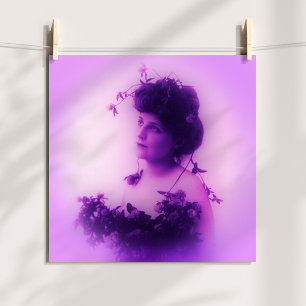 Affiche Lilas Miss Whitlock