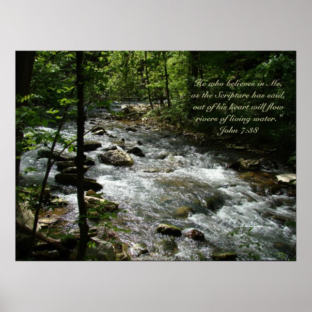 Affiche Living Water II (Devant)