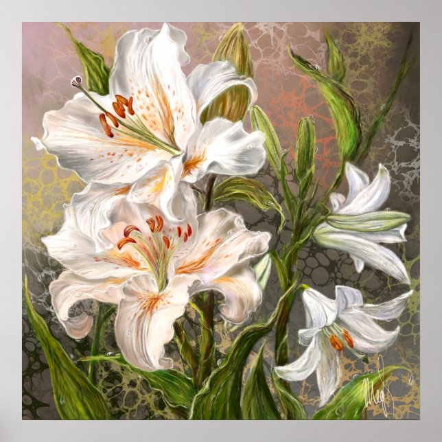 Affiche Lys Blancs (Devant)