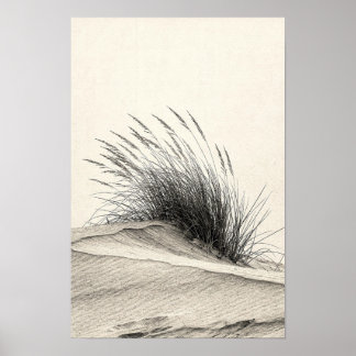 Affiche monochrome de la nature Herbe de dune au f